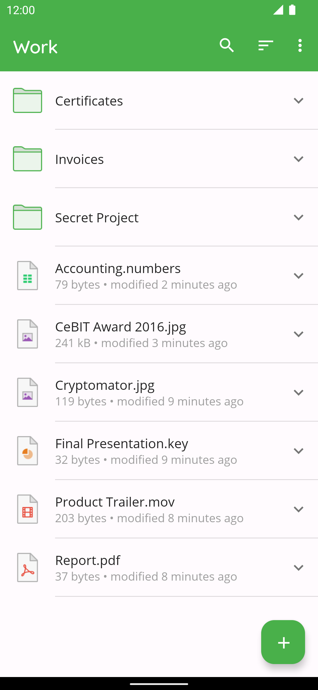 Cryptomator screenshot